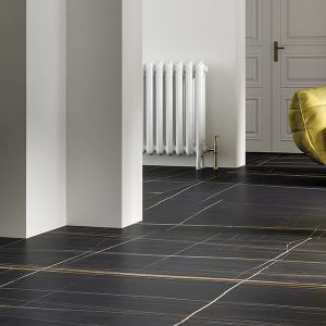 Sahara Noir