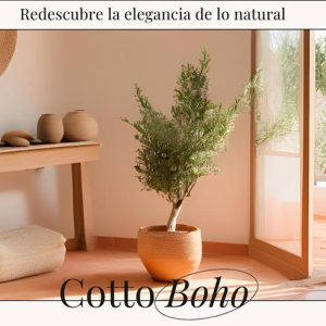Cotto Boho