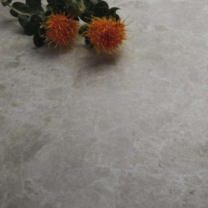 Beige - Estro